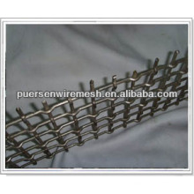 Best Square Wire Mesh (gecrimpte Mesh)